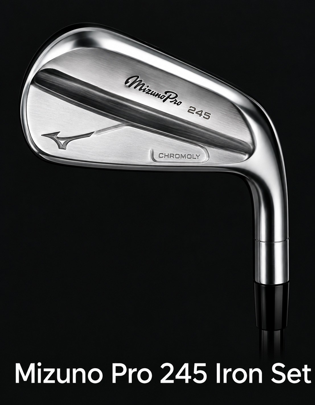 Mizuno Pro 245 iron